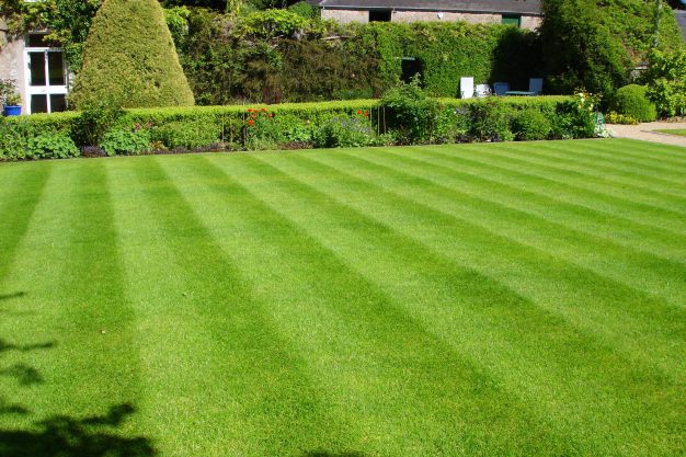 Lawn-good-shot